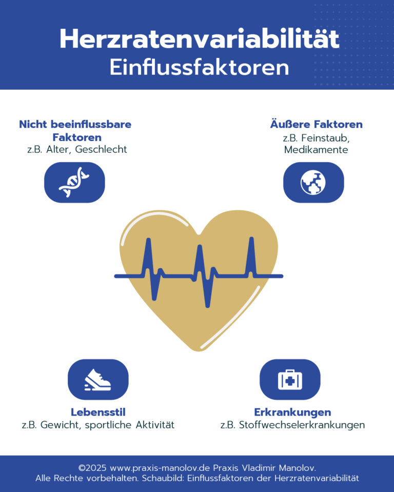 Infografik zu Herzratenvariabilität: Herz mit EKG-Linie, vier Einflussfaktoren und zugehörigen Icons.